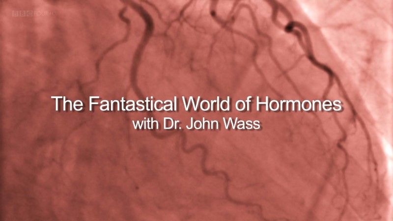 Read more about the article The Fantastical World of Hormones